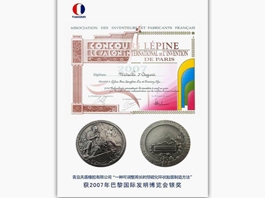 2007年巴黎國(guó)際發(fā)明博覽會(huì)銀獎(jiǎng)