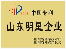 山東明星企業(yè)