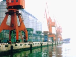 青島糧油碼頭2001年TD-F 1000Φx2000L,TD-DD300Hx1500L