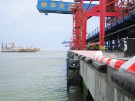 天津神華煤炭碼頭2006年TD-A1250Hx1x2