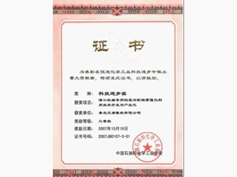 科技進(jìn)步獎(jiǎng)